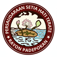 Logo 47